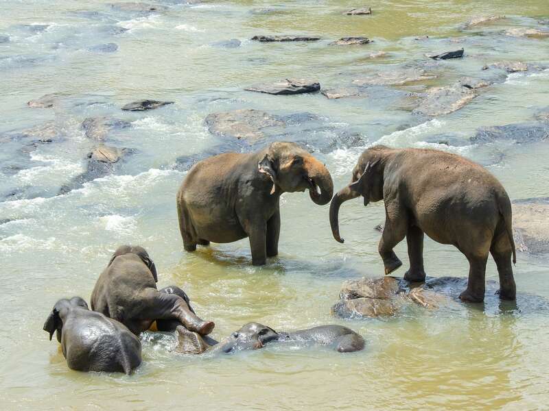 SRI LANKA