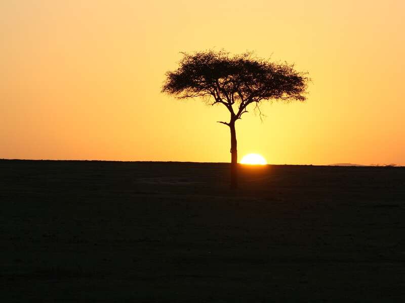 COLORES DE ÁFRICA